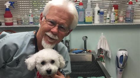 Valley oak vet - Village Oak Veterinary Hospital has been providing quality pet care in the Modesto area since the summer of 2001. In addition to our general practice, we have also been able to provide some specialty level medicine to the Central Valley. 
